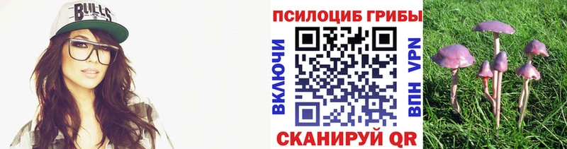 Галлюциногенные грибы прущие грибы  Купить где  Козловка 